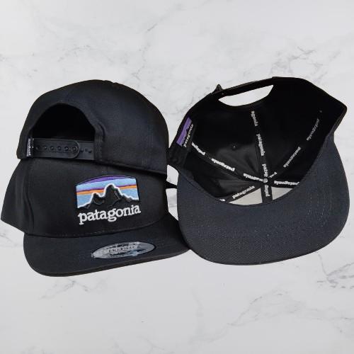 Topi snapback Patagonia import
