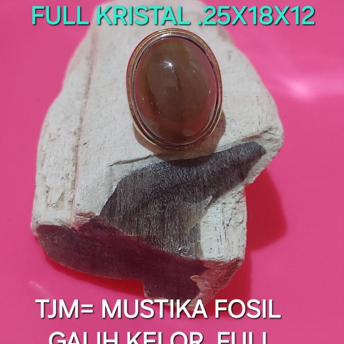 Batu Fosil Galih  Kelor Super Kristal  Estimasi Ukuran  25 x18 x12 Asli Dari Lebak Banten