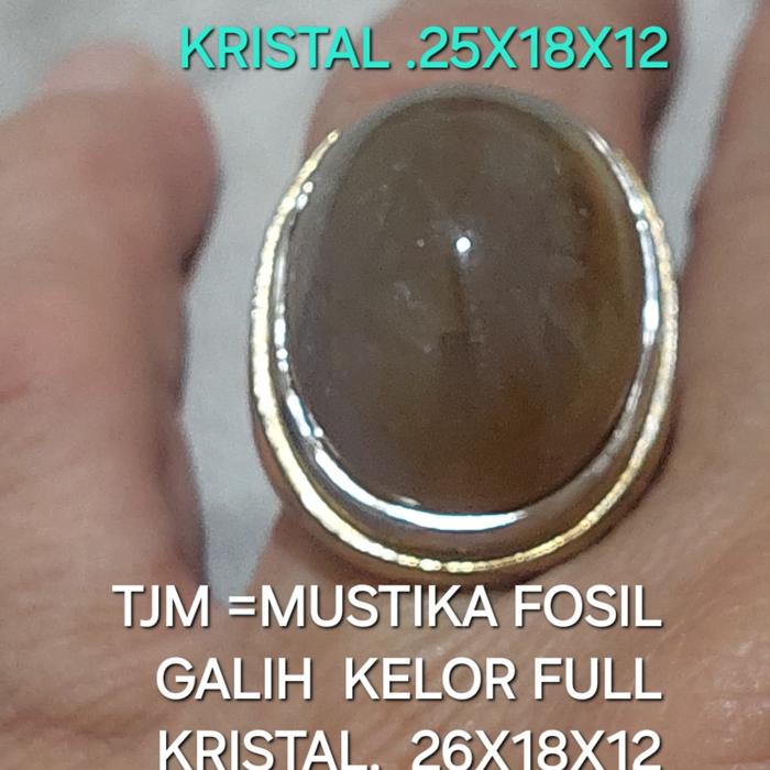 Batu  Fosil  Galih  Kelor  Super  Kristal  Estimasi  Ukuran  25 x 18 x12