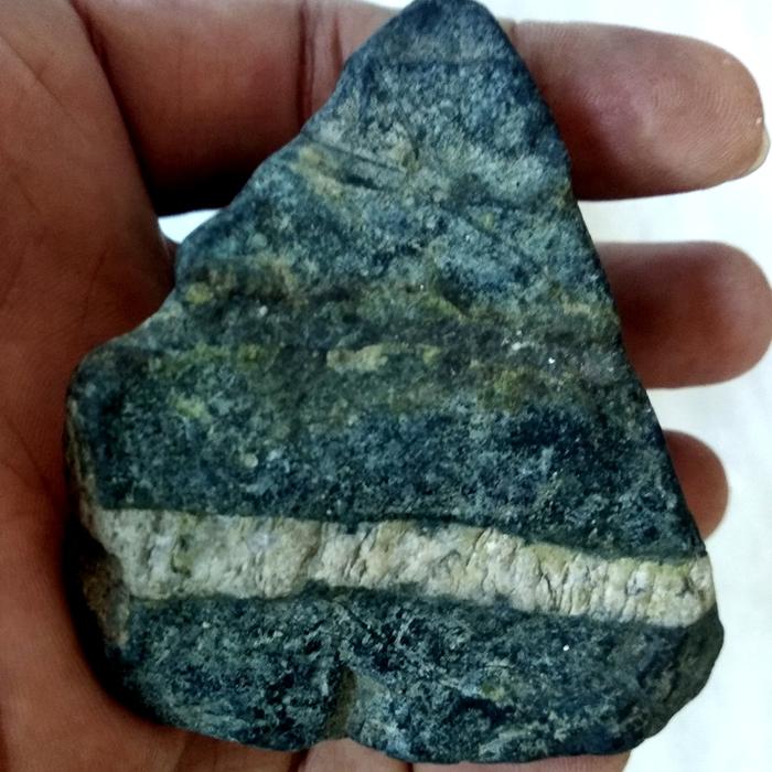 Batu peninggalan mirip fosil gigi hewan purba bermotif kendit