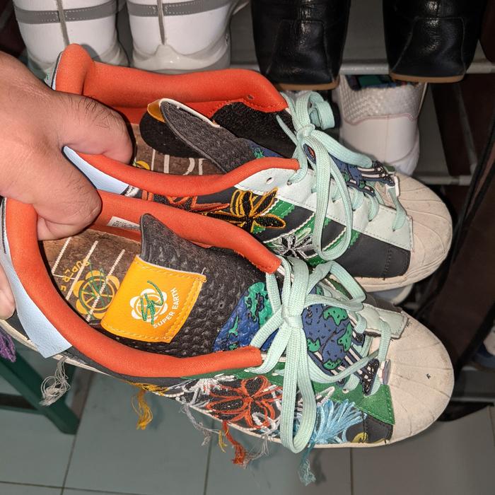 Adidas Earth ex Sean Wotherspoon