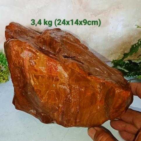 batu fosil galih/badar asem (488)