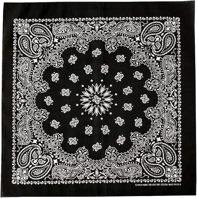 HAV-A-HANK Bandana Paisley Vintage (55 x 55 cm) Made in USA