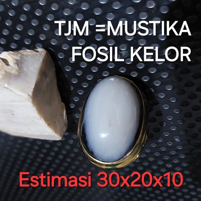 Batu Fosil Kelor Warna Putih Susu Super Kristal Estimasi 30x20x10