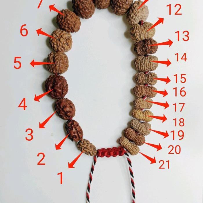 Bracelet indrakshi Mala 1 to 21 Mukhi