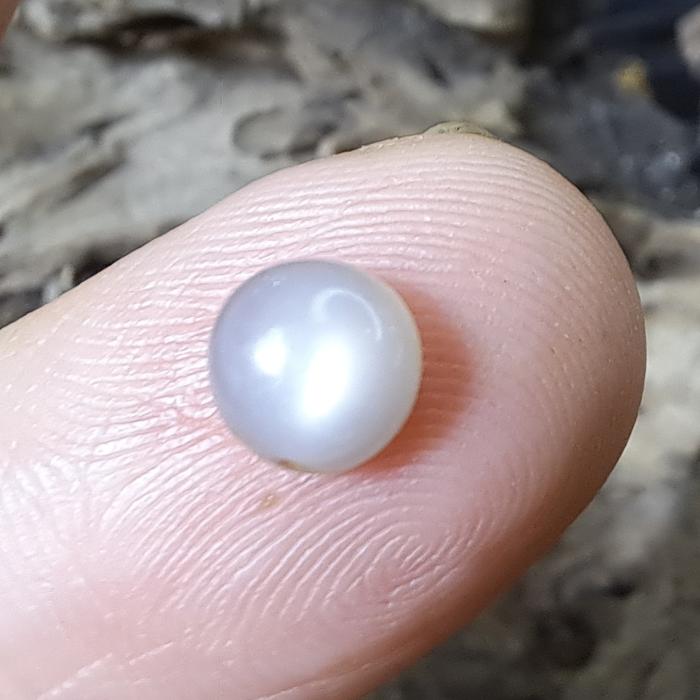 Loostone Batu Cincin Natural Star Moon Stone Ceylon Biduri Bulan Laut # 1