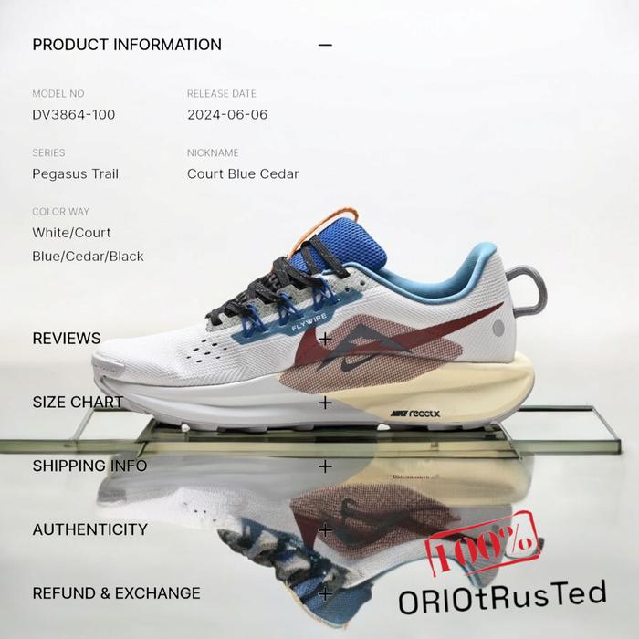 Nike Air Zoom Pegasus 39 Hola Lou