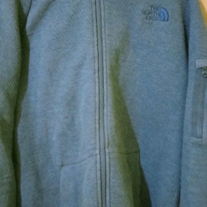 hoodie the north face second