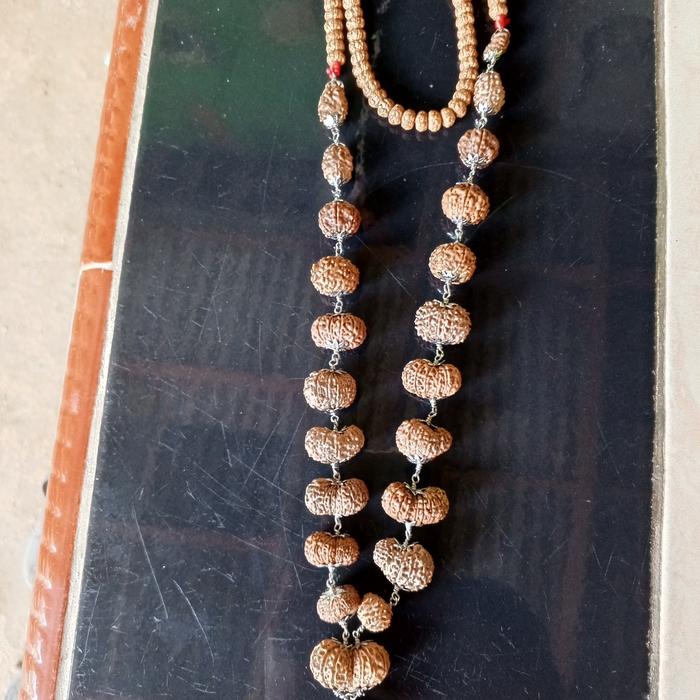 Rudraksha Mukhi 1 sampai 20 mukhi