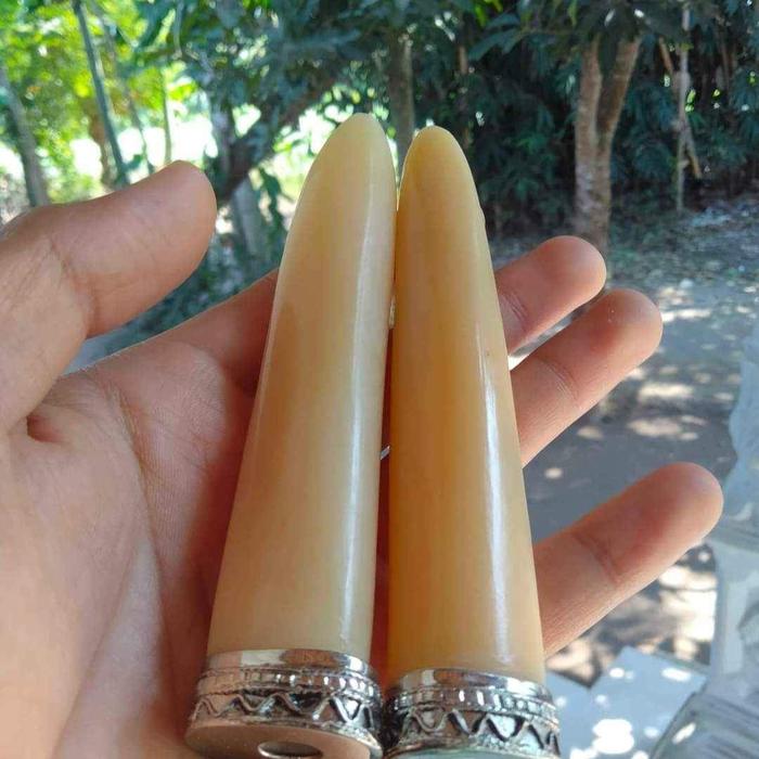 pipa once iga duyung super kristal varias panjang 13