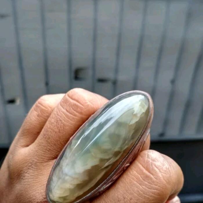 Pandan lumut sisik betok predator semi babon