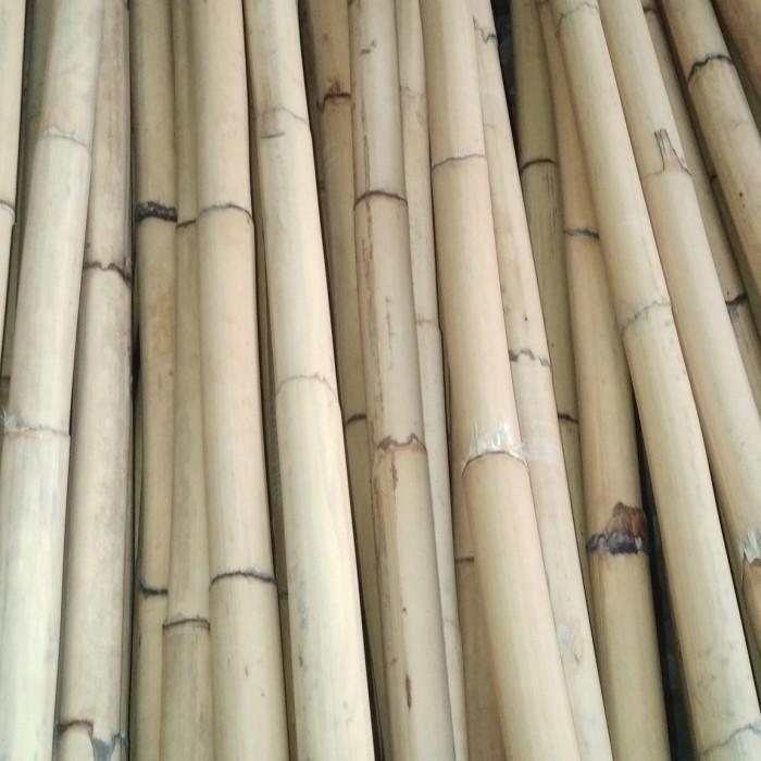Toya Rotan Kulit manao AB Diameter 3Cm Panjang 180cm Kualitas eksport Harga Per Pcs Stok Ready Ribua
