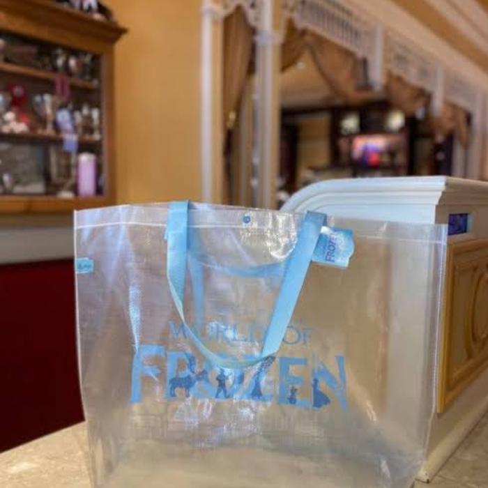 Frozen disneyland shopping bag