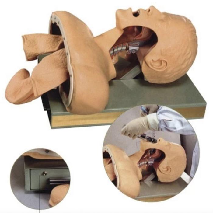 Phantom Manikin GD J50/Airway Intubation Simulator/ Manikin airway dewasa/Phantom Airway/ General Do