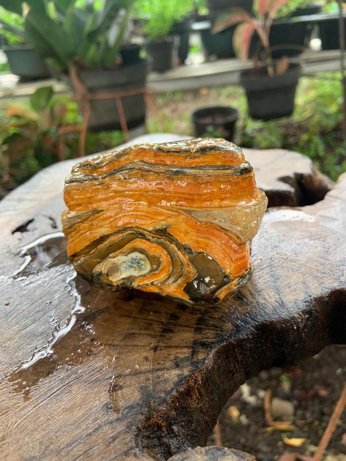 Natural Chalcedony Multi Color Agate Stone Rough Rock Raw Bahan Batu Akik Alam Mulia Kalsedon Sule S