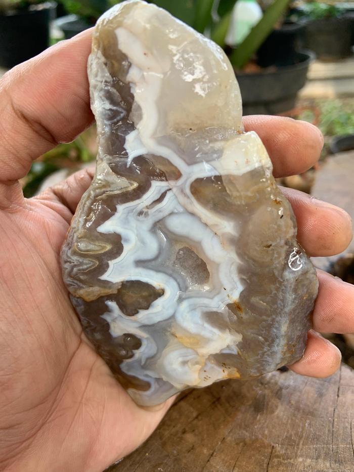 Natural White Banded Chalcedony Agate Stone Rough Rock Raw Bahan Batu Akik Alam Mulia Kalsedon Sulem