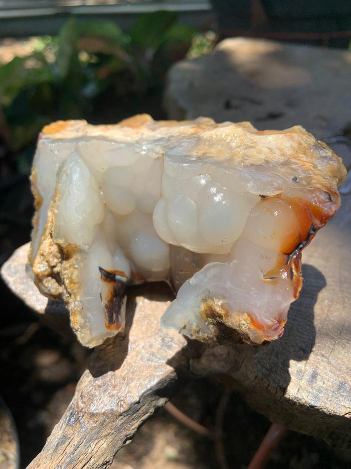 Natural Botryoidal Chalcedony Grape Stone Clear Grey Color Rough Rock Raw Agate Bahan Batu Akik Alam