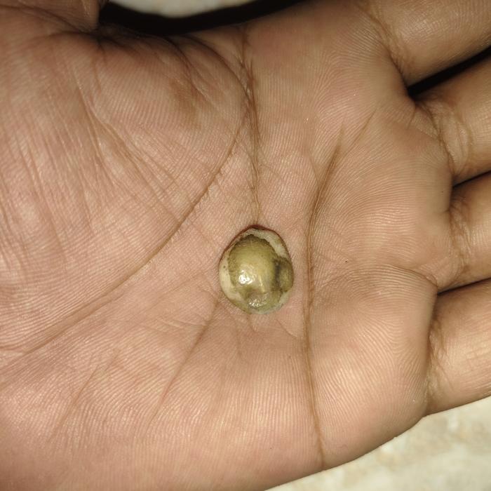 warisan batu mustika rajanya mustika waletputih sangat langka kuno ageman