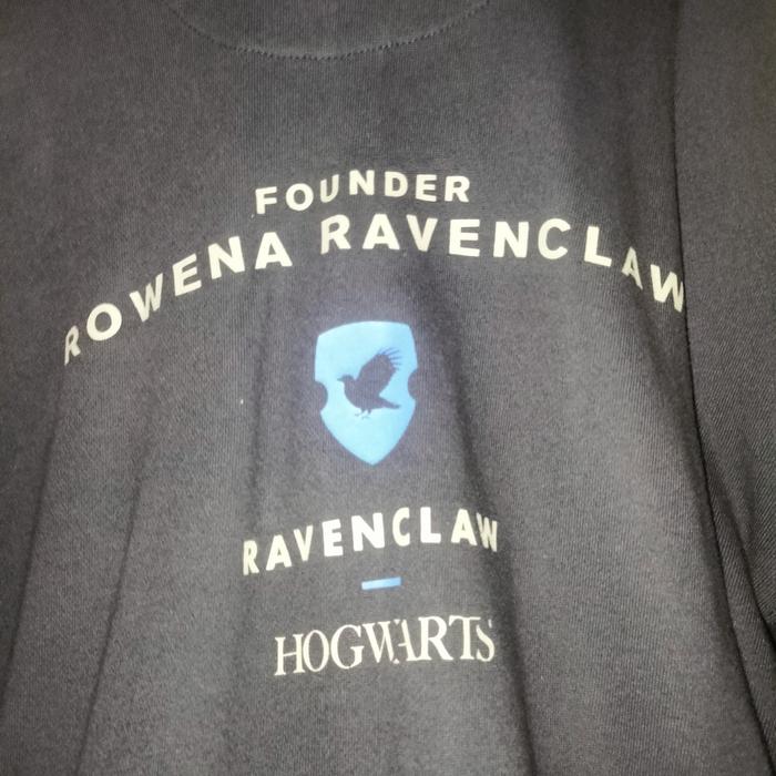 Hoodie Spao Harry Potter Ravenclaw