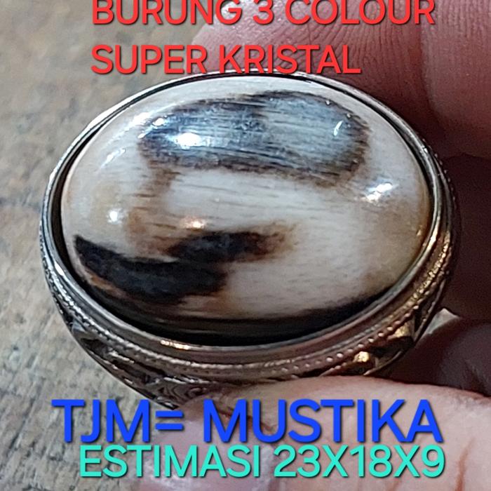 Batu Fosil Galih Kelor Bermotif Burung 3 Colour Super Kristal Estimasi 23x18x9