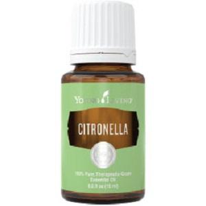 Citronella Oil YL 15 ml Oil Citronella
