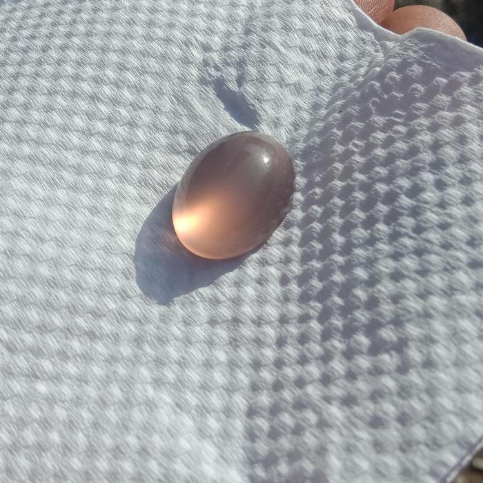 Bacan Obi Kelo / Obi ungu