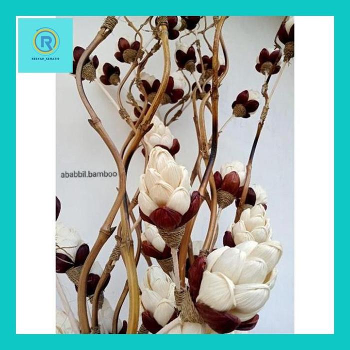 Resy^ 1 Bambu Ulir Natural Klobot Nanas Mini Putih