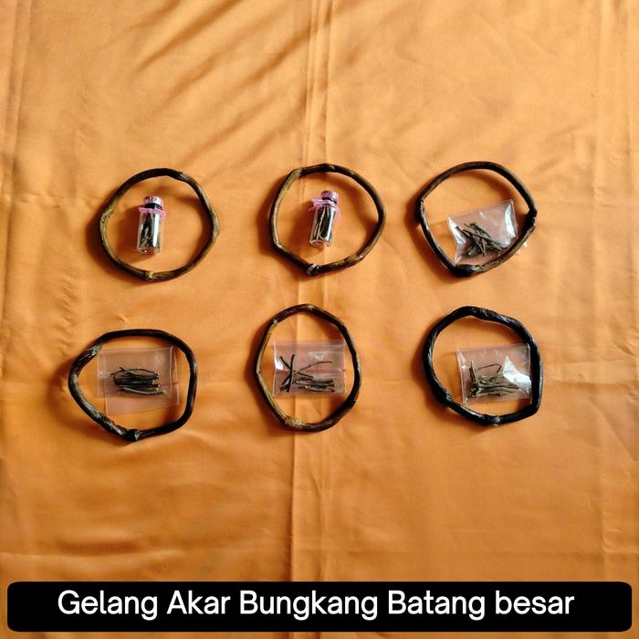 Limited Edition Gelang Akar Bungkang Batang Besar dari Gunung Meratus - Produk Terbatas untuk Bracel