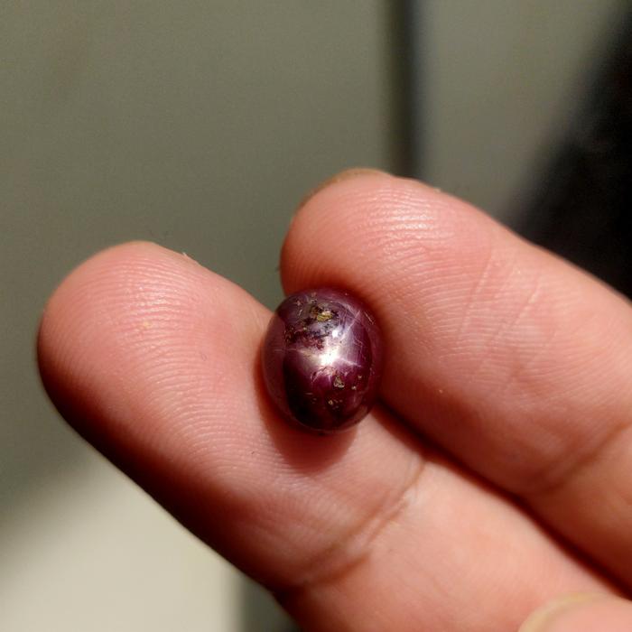 Batu Mulia Ruby Daging Star Johnson Mirah Windusara Delima Merah Darah Pigeon Blood Permata Loose Lo