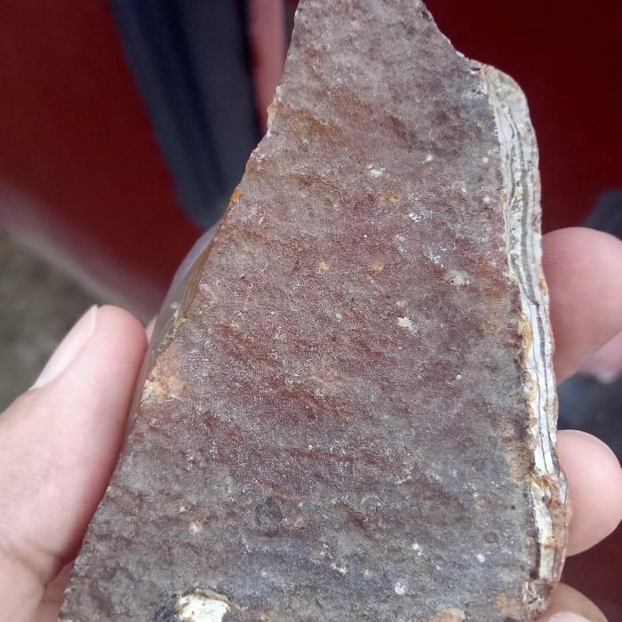 Batu White Raflesia / Raflesia Putih ( Rough / Bahan Batu Akik asli Alam - bukan bacan )