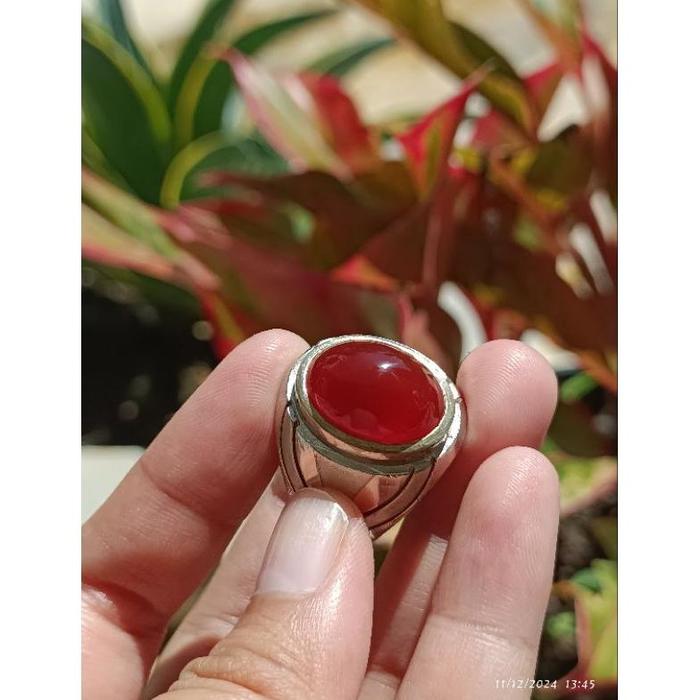 BATU RED CEMPAKA BENGKULU | BATU AKIK MERAH ASLI NATURAL