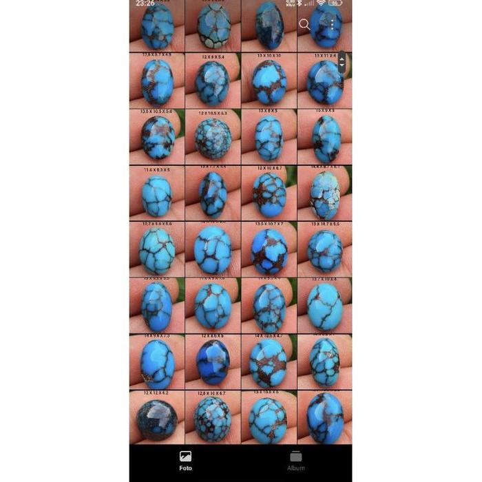 pirus mesir lawasan kualitas top garansi original 100%
