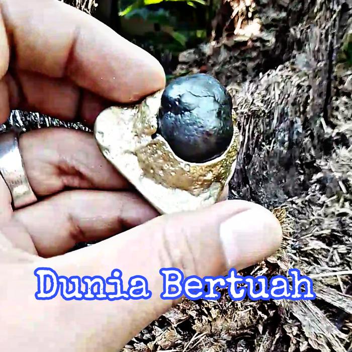Batu Mustika Munta Besi Kurung Kursani