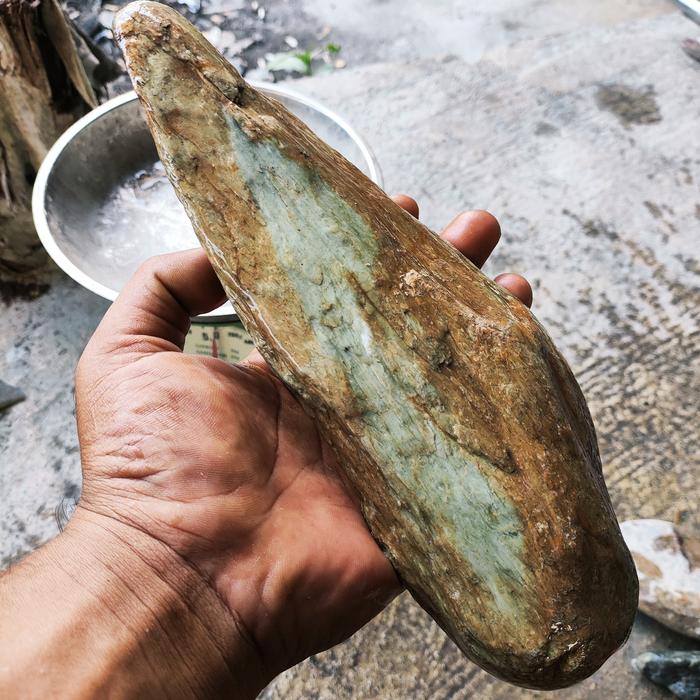 NATURAL GIOK ACEH TUNGGAL