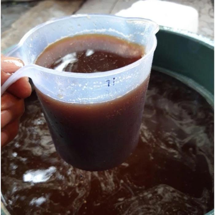 Biotree/bakteri pengurai air limbah/bakteri IPAL