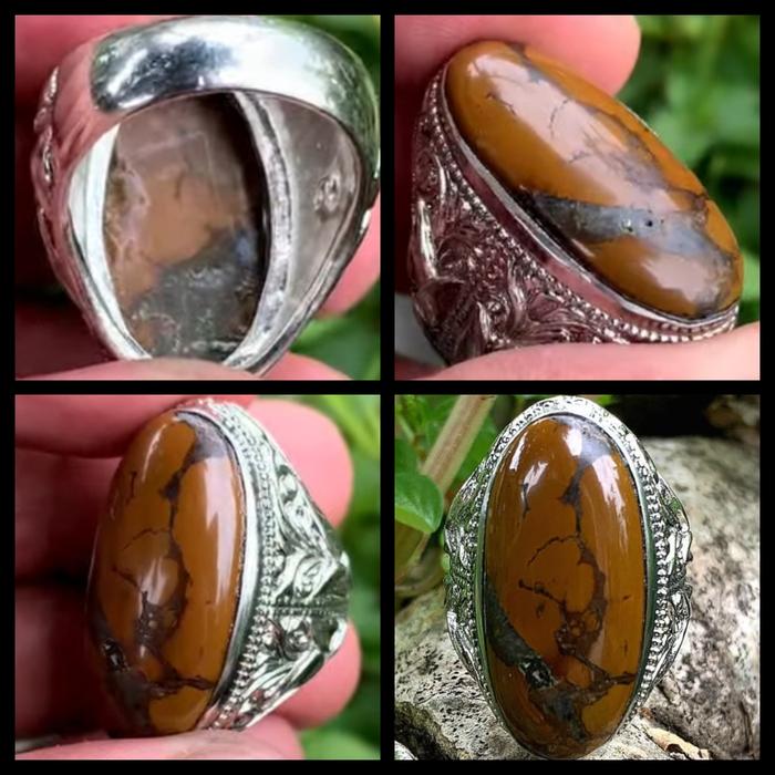 Pirus hubei hoki coklat berkarakter