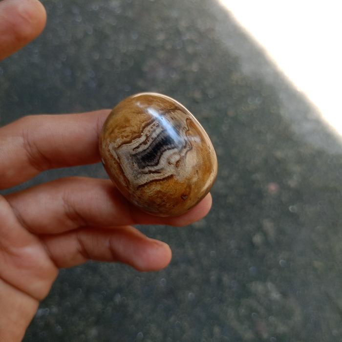 Fosil LANGKA - Kayu Galih ,tidak tau Jenis Kayu Fosil apa ada Galih ny