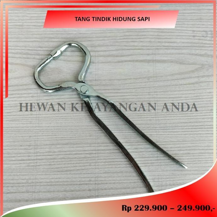 Tang Hidung Sapi Alat Tindik Hidung Sapi Kerbau