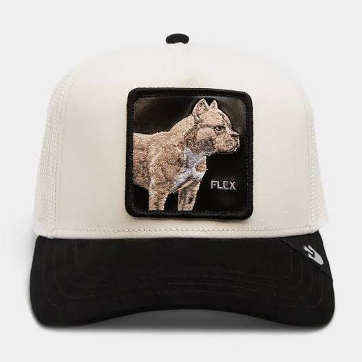 Topi Goorin Bros The Pitbull Trucker Cap