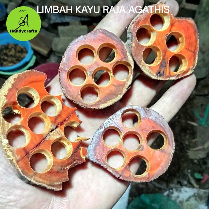 Limbah kayu raja Agathis wangi