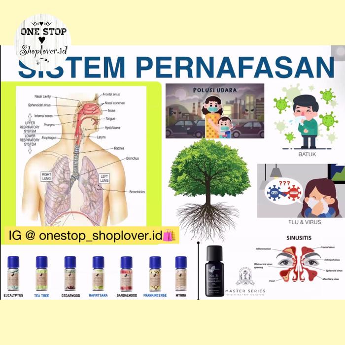 EASECOX EASEAROMA OIL SISTEM PERNAFASAN EUCALYPTUS/SANDALWOOD/CEDARWOOD/TEA TREE/RAVINTSARA/MYRRH/C/