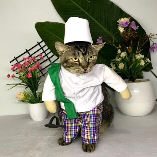 TERLARIS Baju Kucing viral Kostum Karakter Pak Haji + sandal