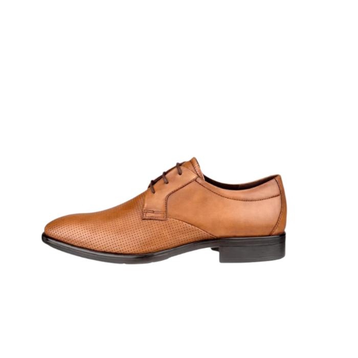 ECCO Citytray Men's Derby Leather Shoe