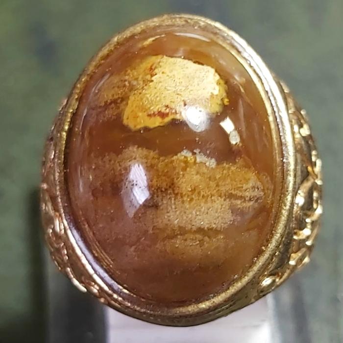 Fosil Kelor Kristal
