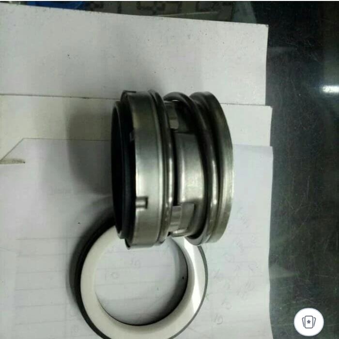 mechanical seal Ebara 125 × 100 fsjca