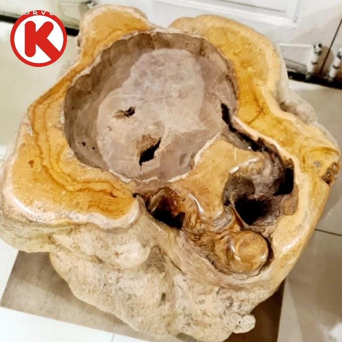 FOSIL KAYU BERAT 70KG LANGKA DAN BERTUAH