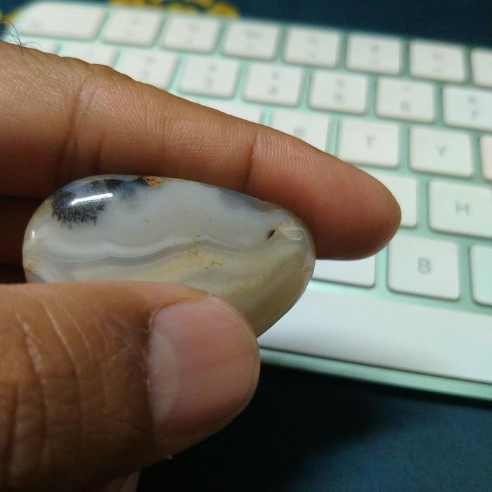 Worry Stone/Pocket Stone Crystal Clam Fossil