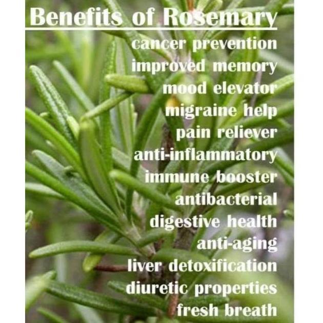 Rosemary essential oil 5ml [Purepedia]