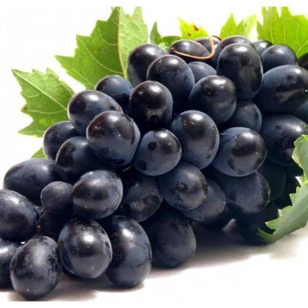 Fragrance oil Grape 20 ml [Purepedia]
