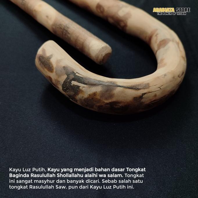 Promo / Terlaris Tongkat Kayu Luz Putih Tongkat Nabi Terbaik